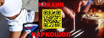 молекула духа Кингисепп