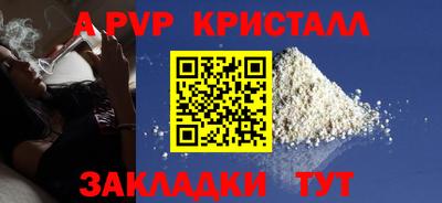 молекула духа Кингисепп