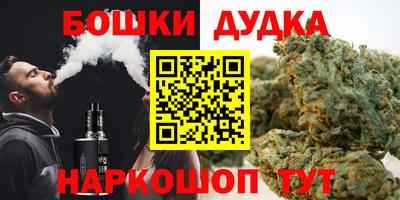 молекула духа Кингисепп