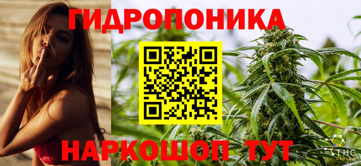 Котовск  Каннабис Bruce Banner  Марихуана MAZAR  Вход с VPN  Марихуана конопля 